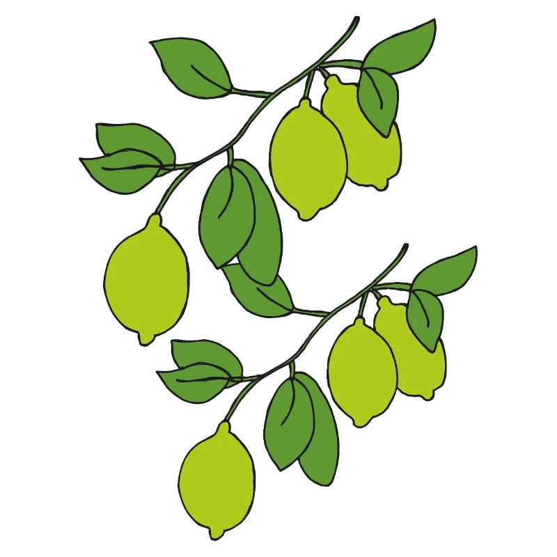 Lime sprigs