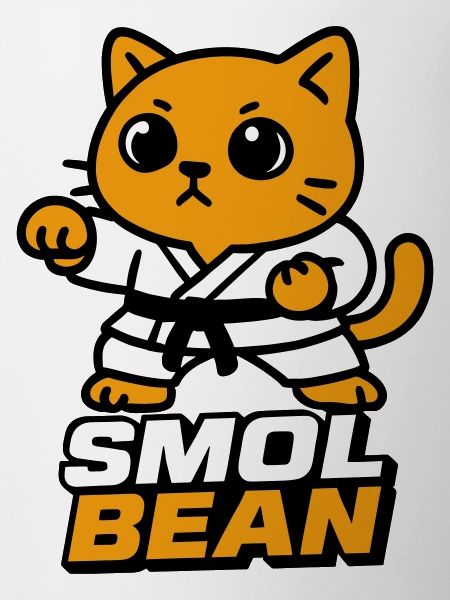 Cat fighters in the dojo