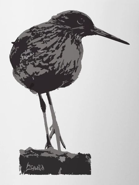 Redshank - Monochrome Bird Silhouette