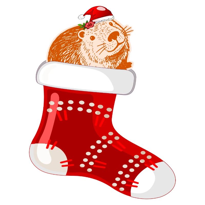 WEIHNACHTSMANN WEIHNACHTSSTRÜMPFE CAPYBARA
