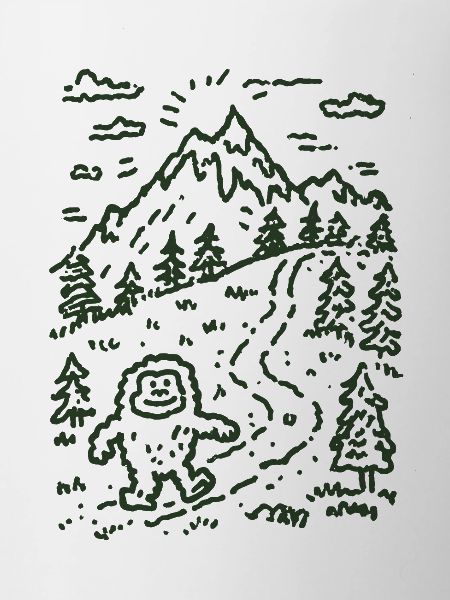 Mountain hiker in forest landscape