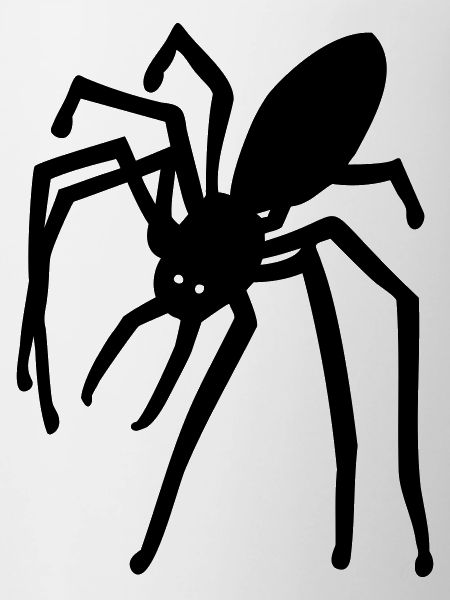 Spinne