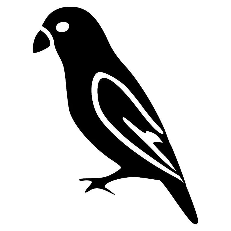black bird gift nature lover
