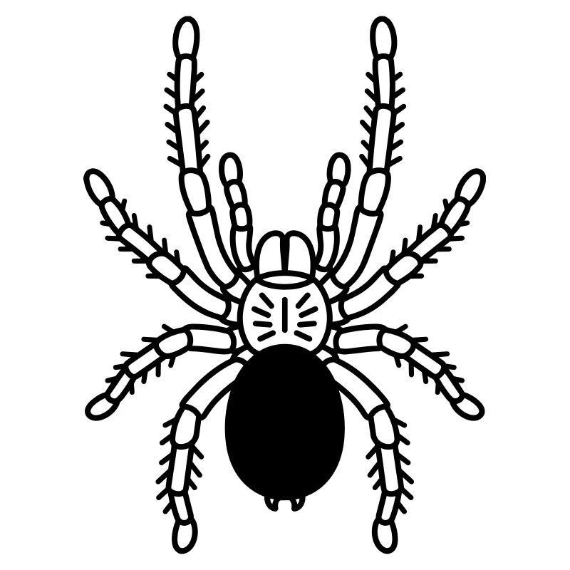 Tarentule Tarentule