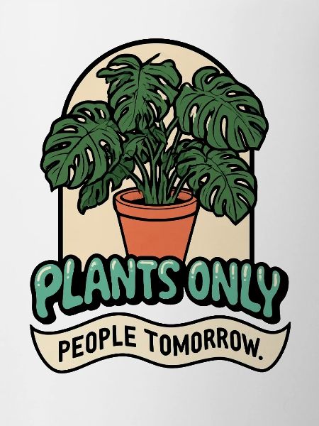 Monstera TODAY!