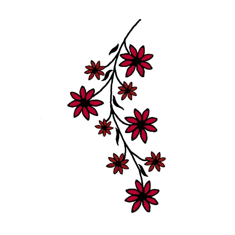 Blume rot