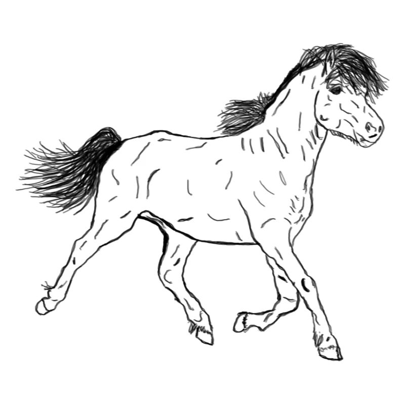 Pferd Fohlen