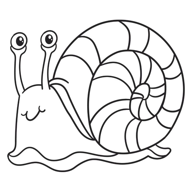 Snail, molluscs, gift, gift idea
