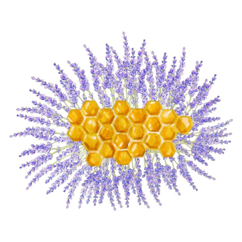 Nid d’abeille et lavande