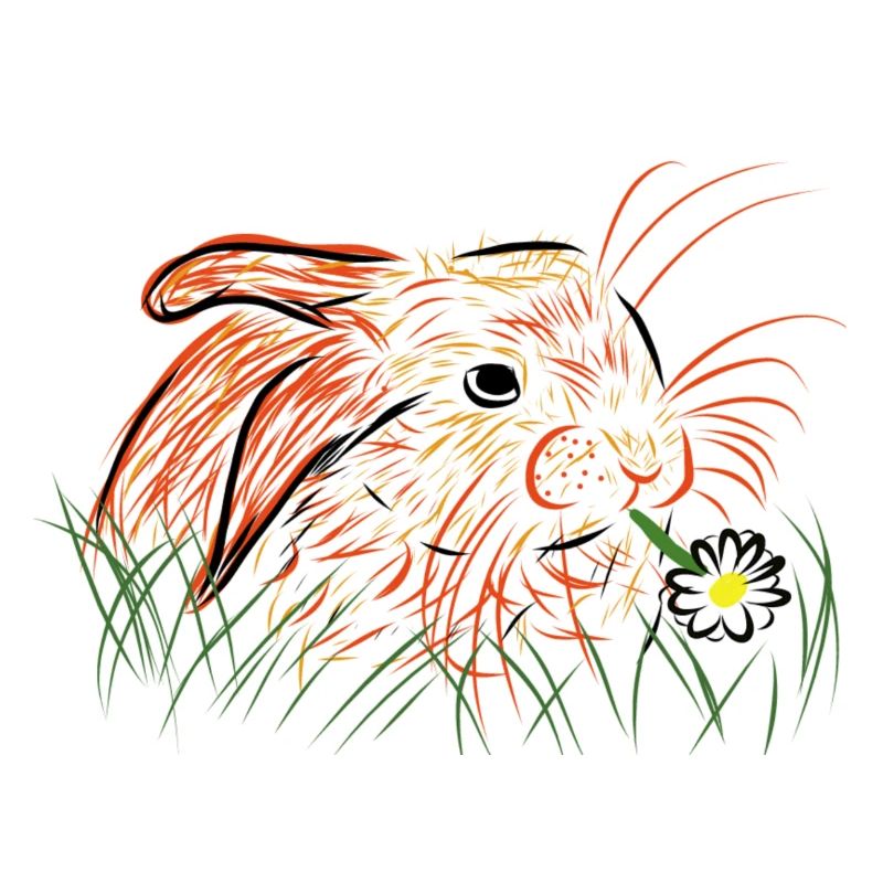 Lapin