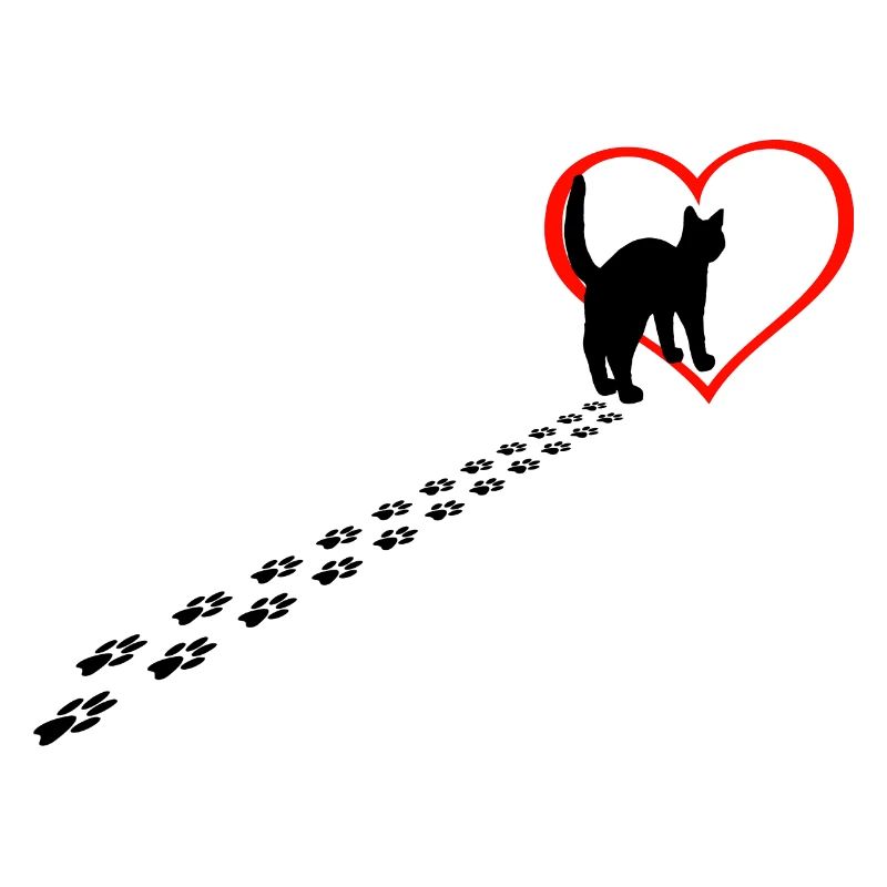 Chat dans l’âme