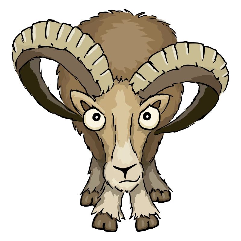 Mouflon ram Stock stare down Aries gift