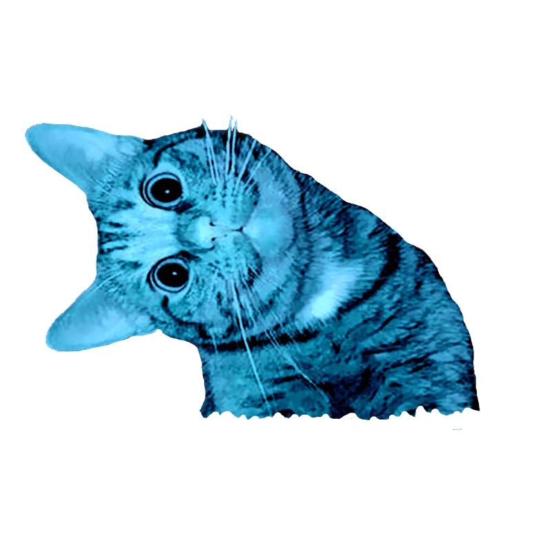 lächelnde Katze