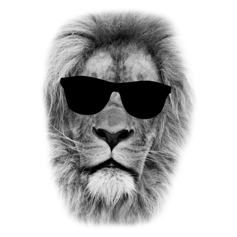 Cool Cat