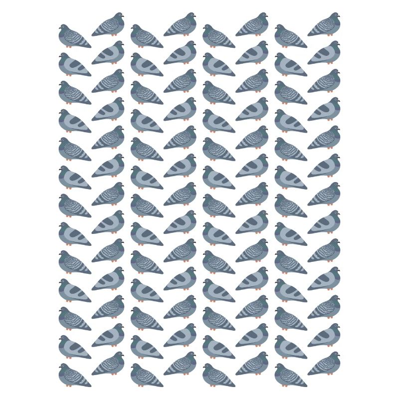 Pigeon Pattern Friends
