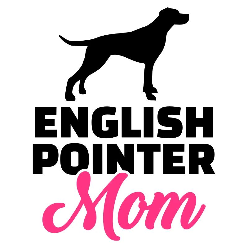 English Pointer