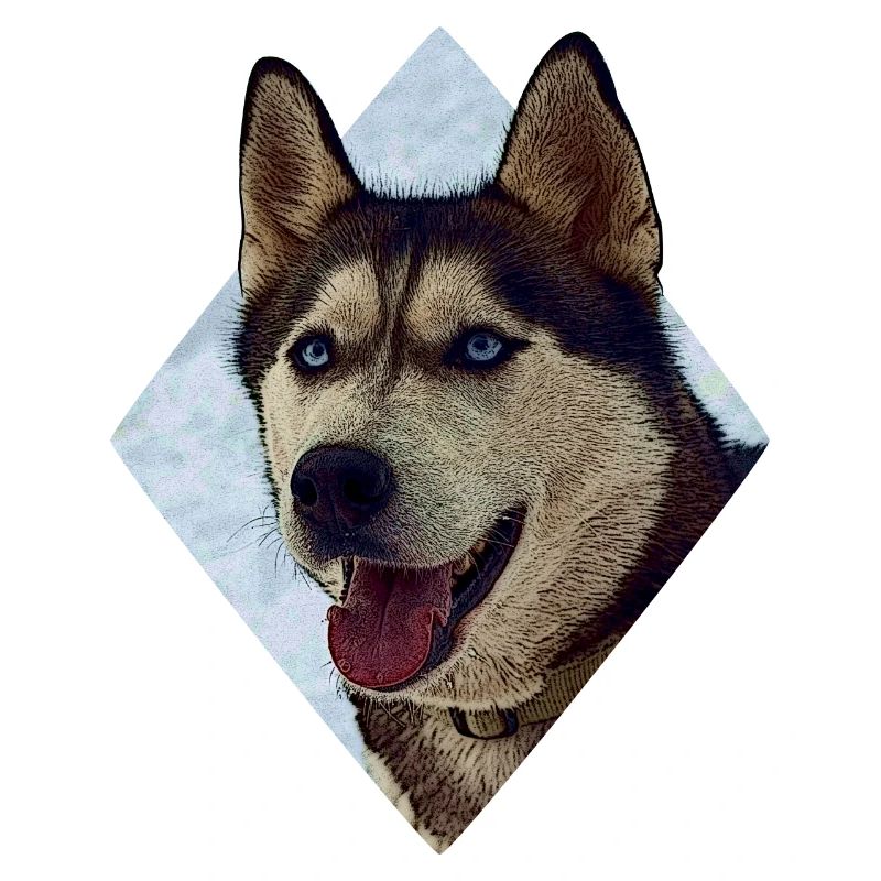 Husky