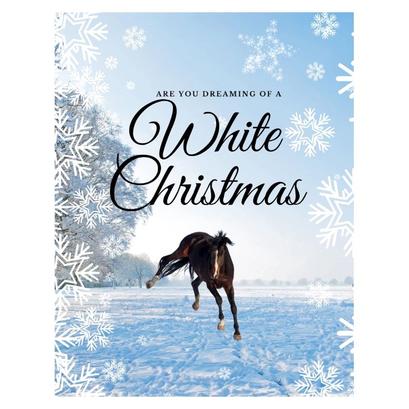 Winter Magic - Noël blanc avec votre cheval