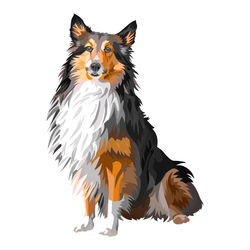 Shetland Dog