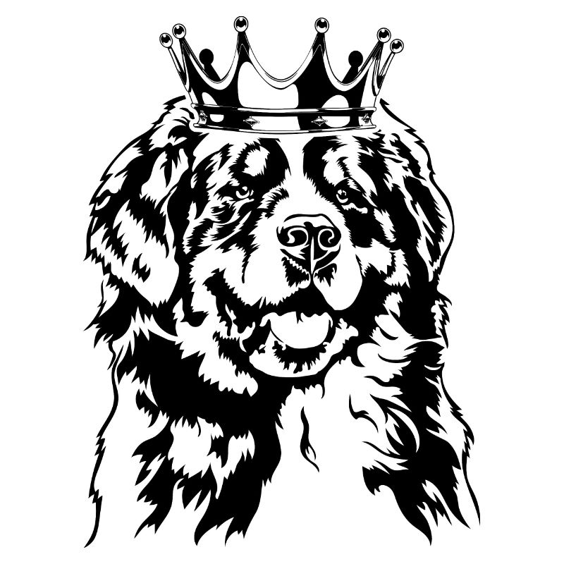 Bouvier Bernois Krone Chiens Chien Wilsigns