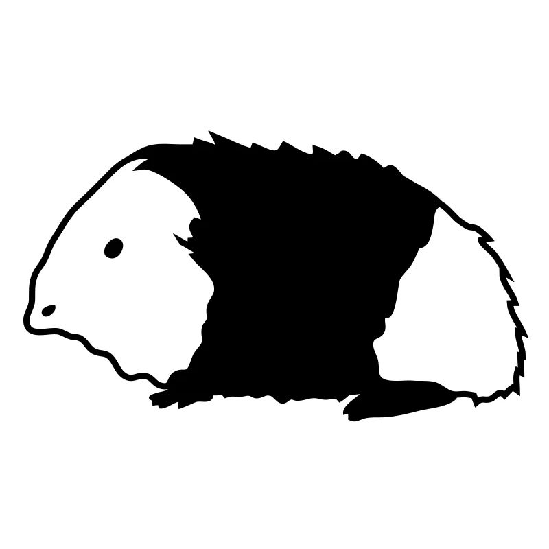 Meerschweinchen