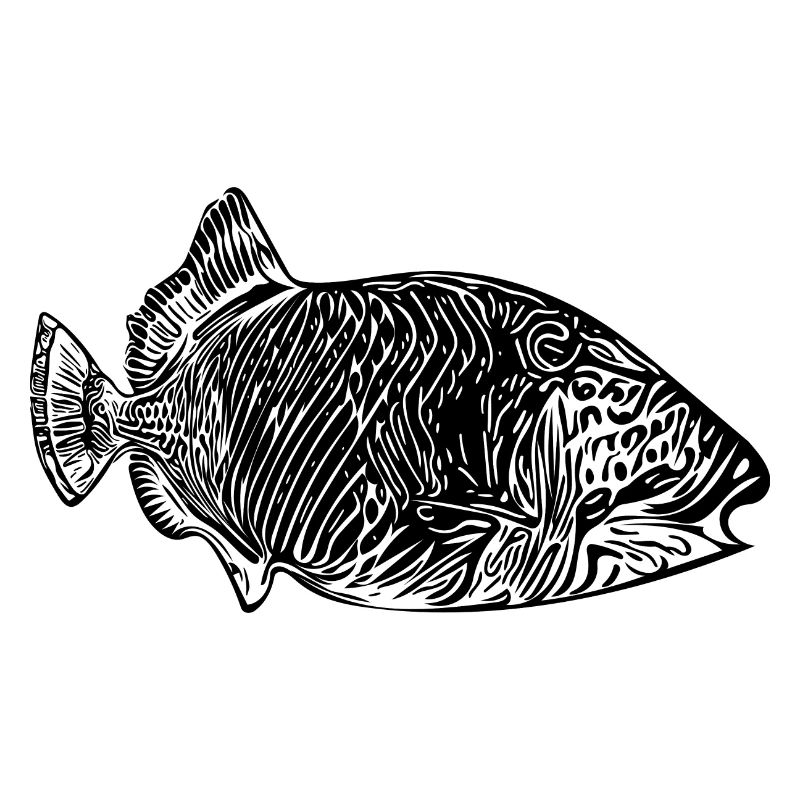 Triggerfish Vintage Style