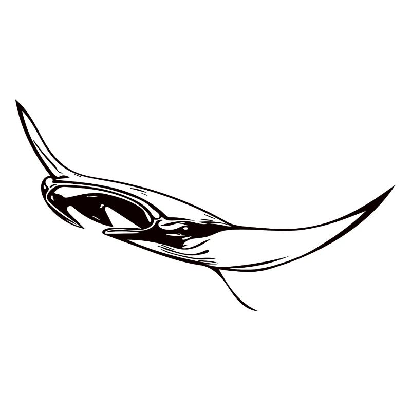 Elegant floating manta rays