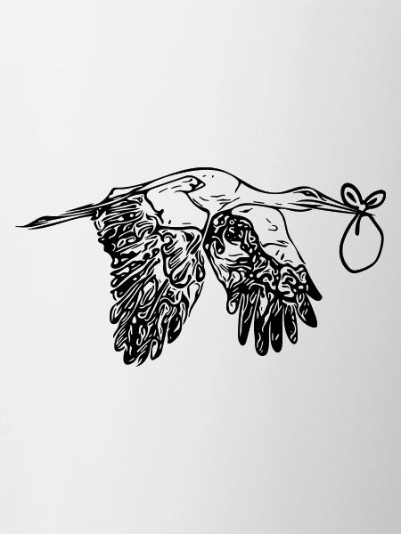 Flying Stork offspring Delivery