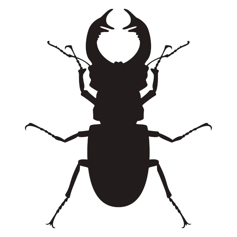 stag beetle