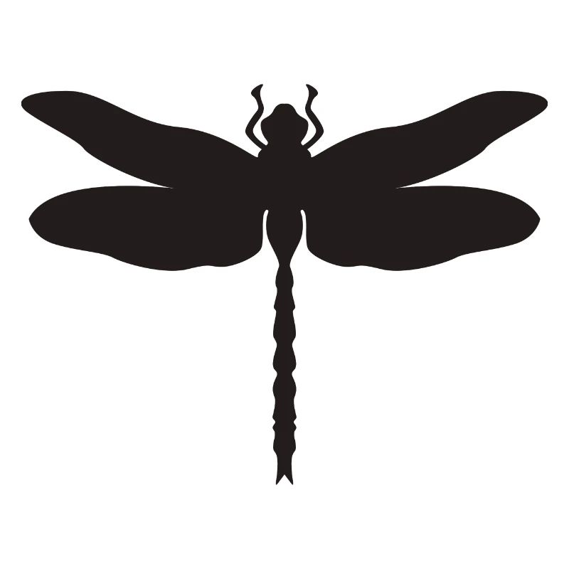 Libellule