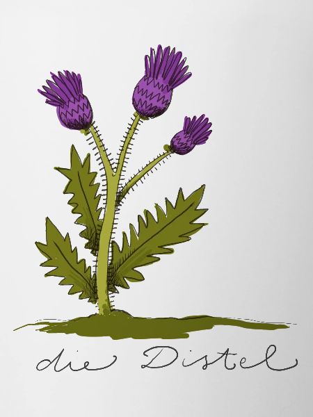 distel