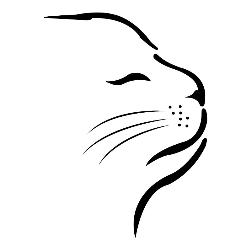 Cat Little Kitten Cat Face