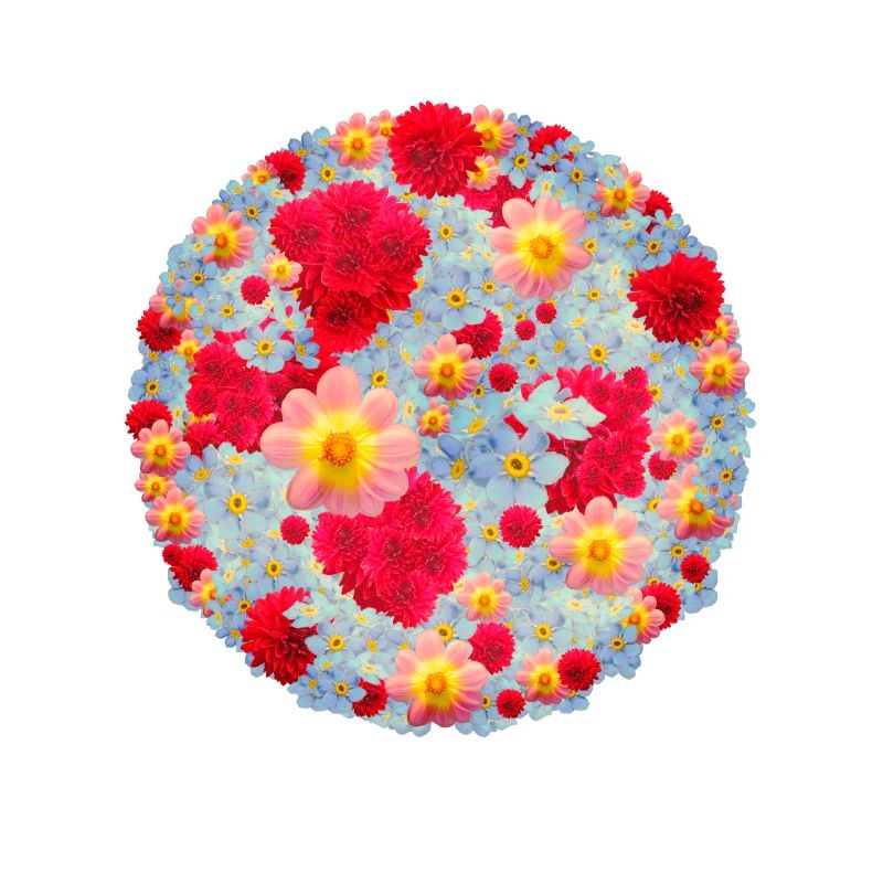 Les bouquets de fleurs