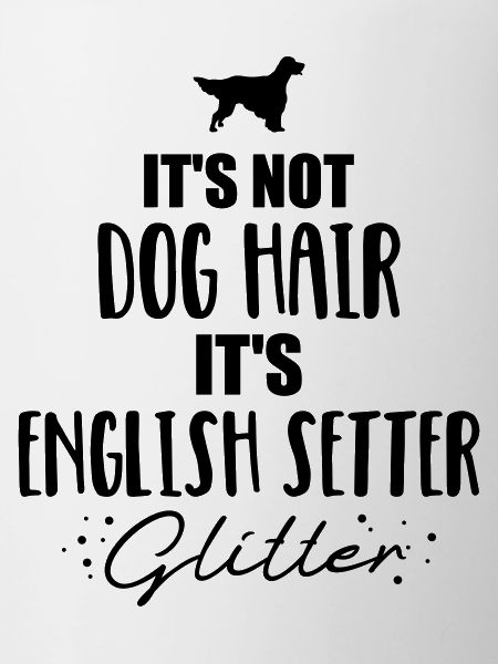 English setter