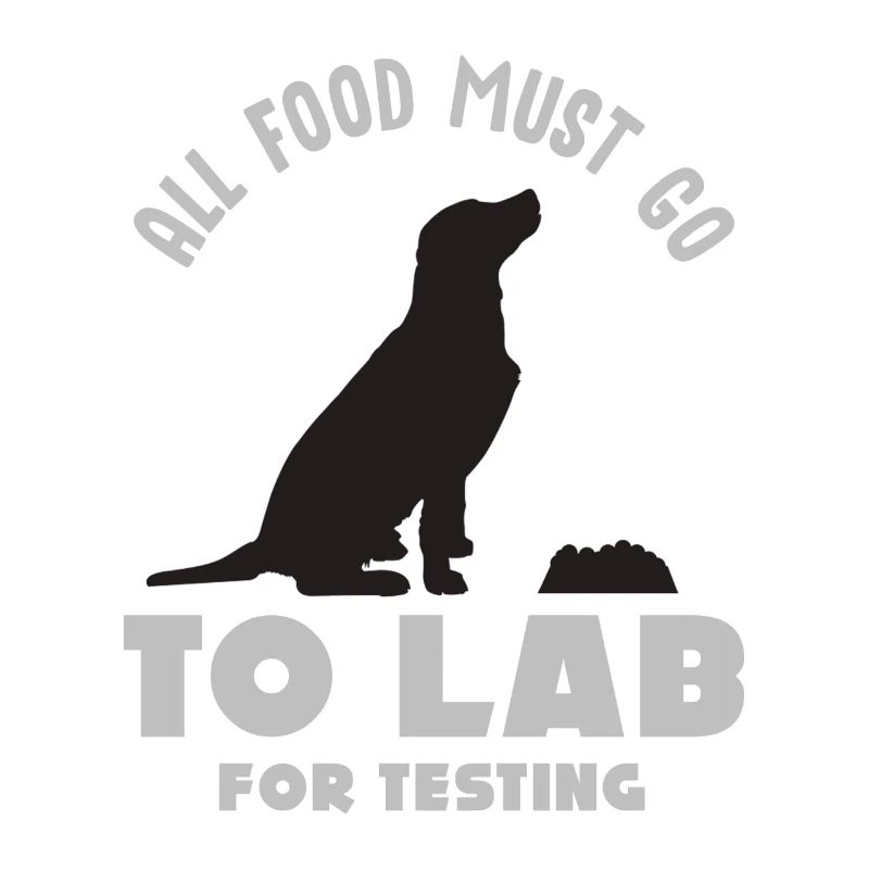 Labrador, Labrador Race, Agility,