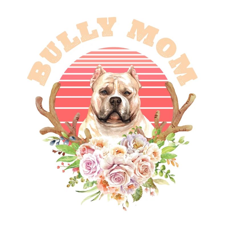 american bully, american bully Hund, Mama,