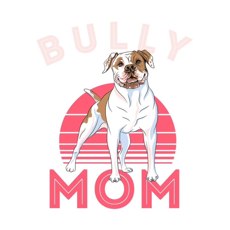 american bully, american bully Pitbull, Hund,