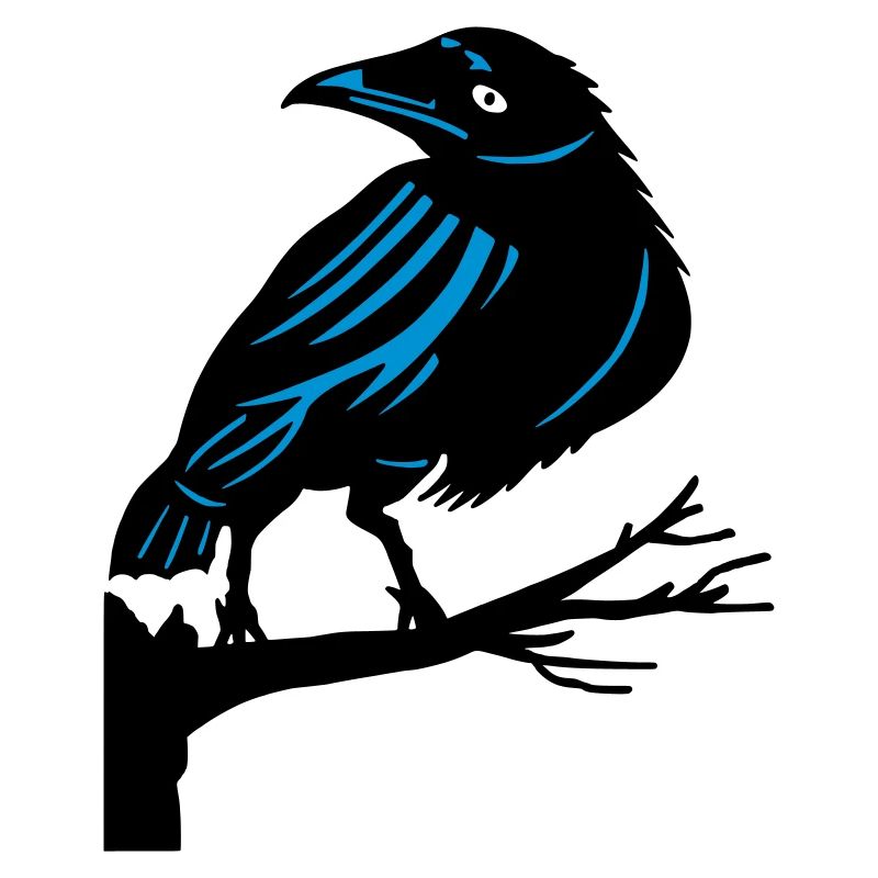 Rabe auf einem Baum Krähe Vogel Baum