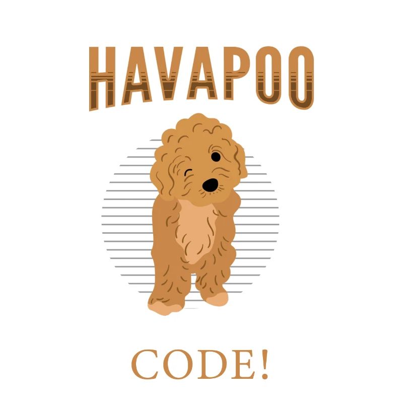havapoo, havapoo Pudel Mischling, havapoo humor,