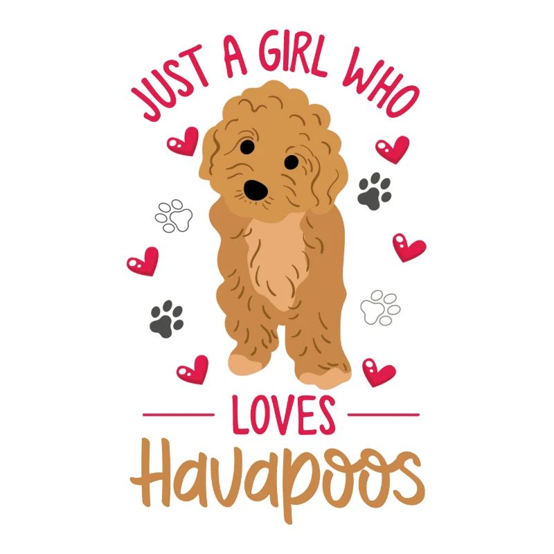 havapoo, havapoo havapoo mother, Havanese,