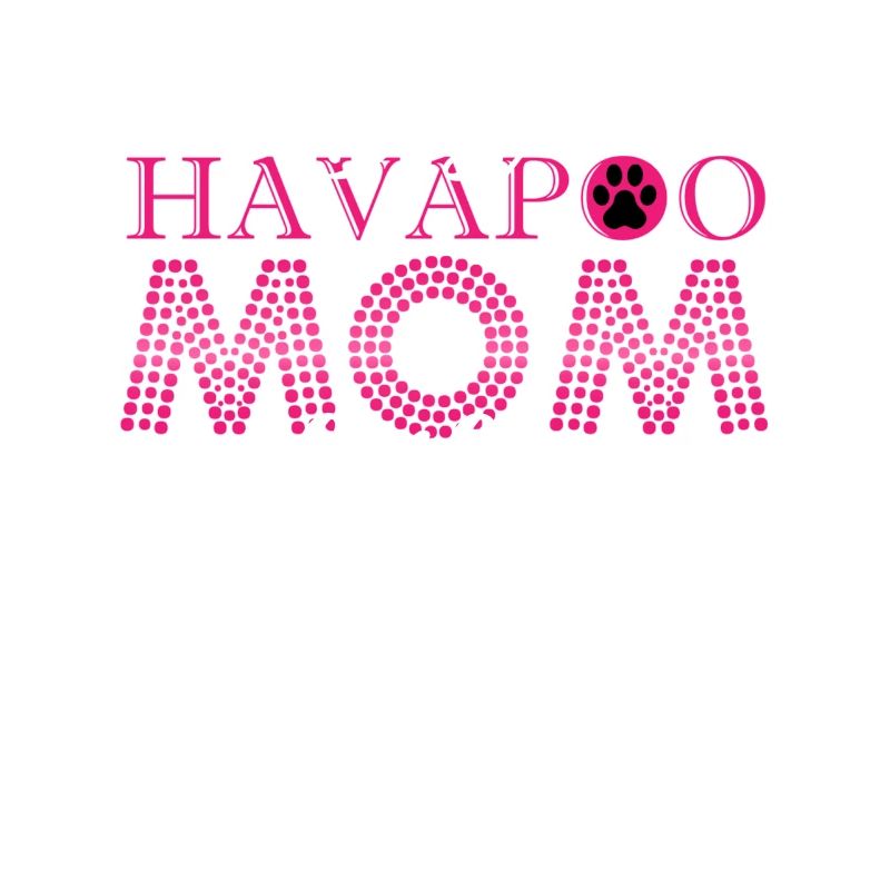 havapoo, havapoo havapoo himmel, Pudel Mischling,