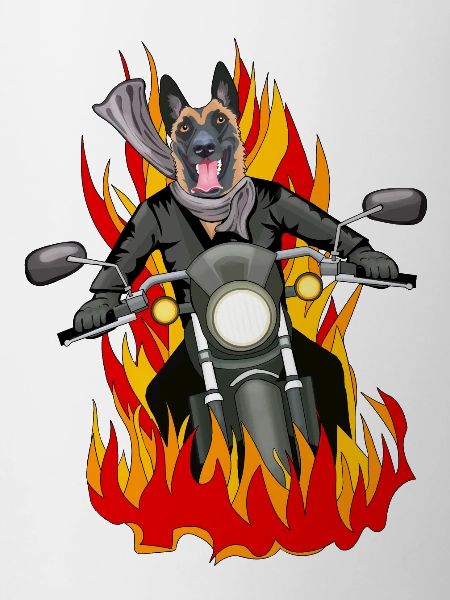 Fire Malinois