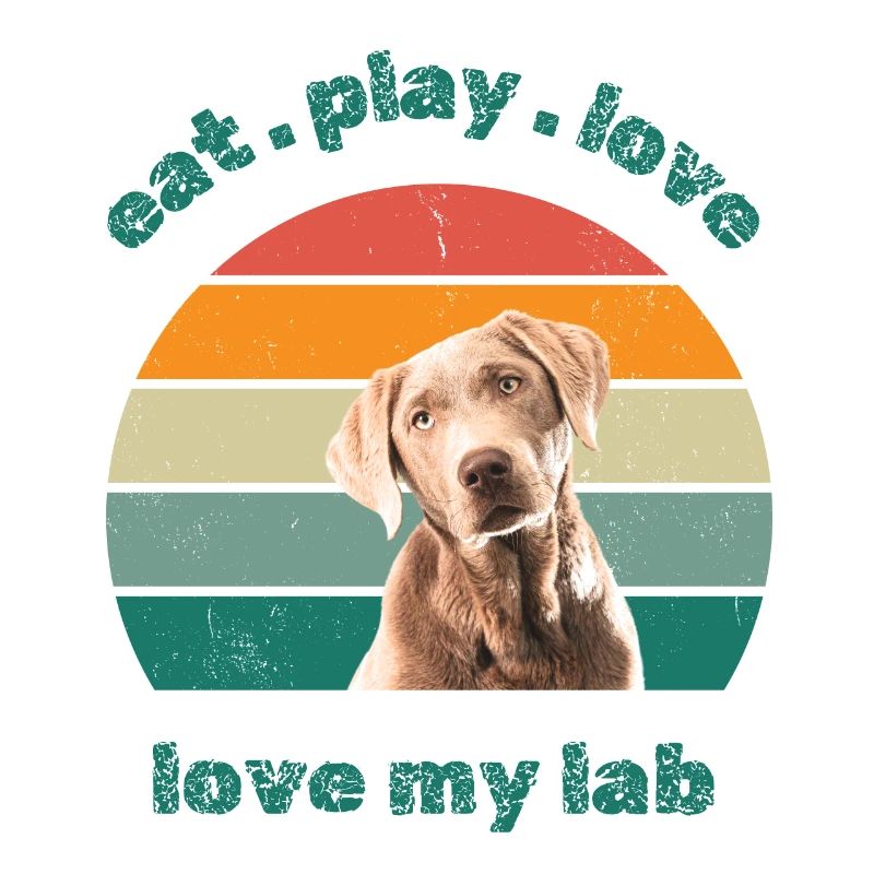 love my lab