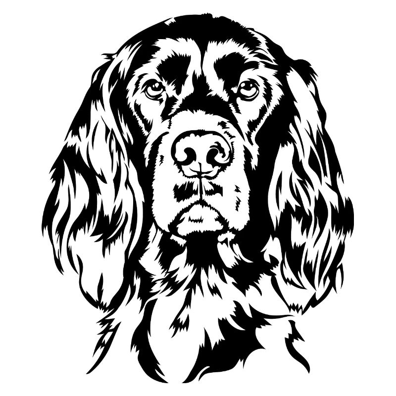 Irish Setter Jagdhund Jagdhunde Hunde Wilsigns