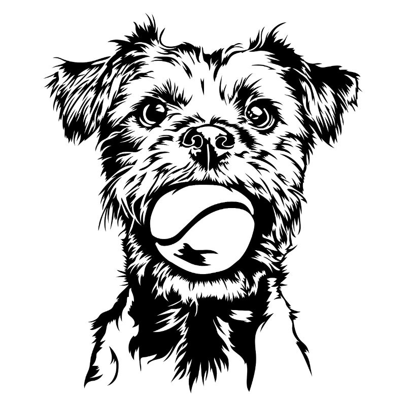 Border Terrier Hunde Hund Wilsigns
