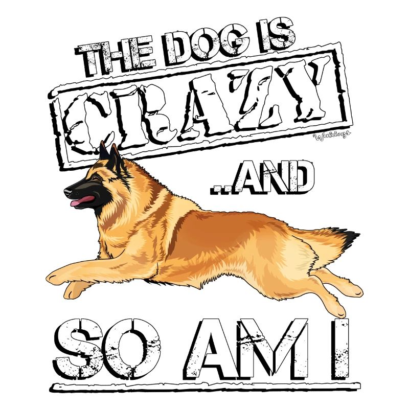 Belgian Shepherd Crazy3