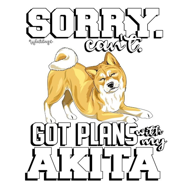 akitaplans3