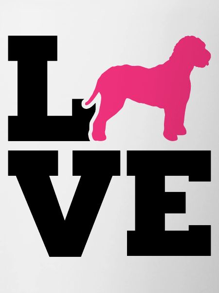 Lagotto Romagnolo