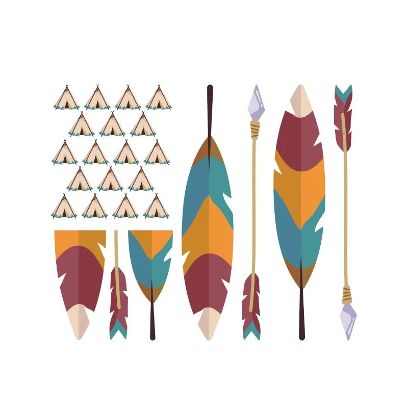 Native American pride USA flag