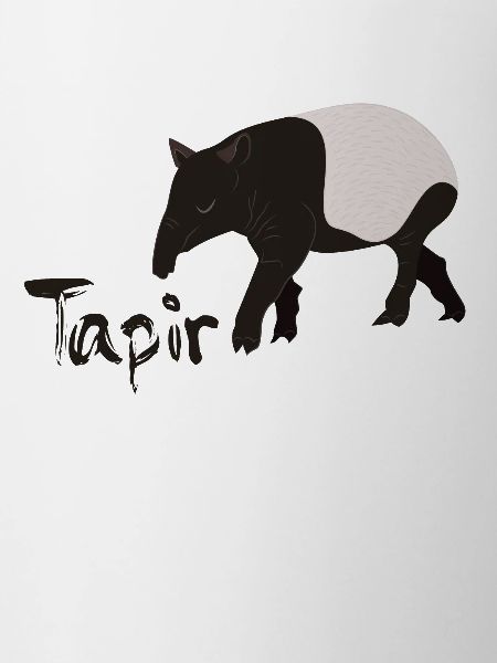 tapir